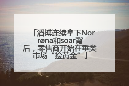 滔搏连续拿下Norrøna和soar背后，零售商开始在垂类市场“捡黄金”