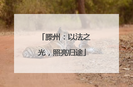 滕州：以法之光，照亮归途