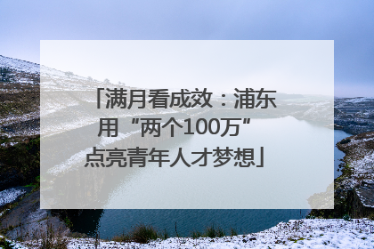满月看成效：浦东用“两个100万”点亮青年人才梦想