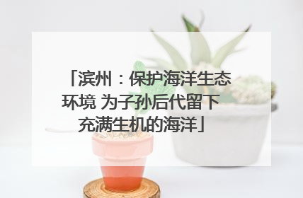 滨州：保护海洋生态环境 为子孙后代留下充满生机的海洋