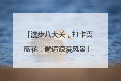 漫步八大关，打卡蔷薇花，邂逅浪漫风景