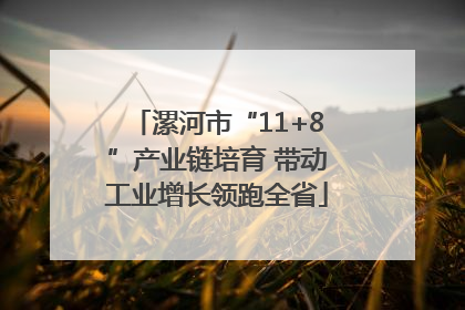漯河市“11+8”产业链培育 带动工业增长领跑全省