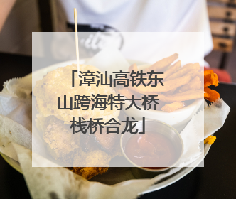 漳汕高铁东山跨海特大桥栈桥合龙