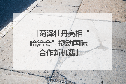 菏泽牡丹亮相“哈洽会”撬动国际合作新机遇