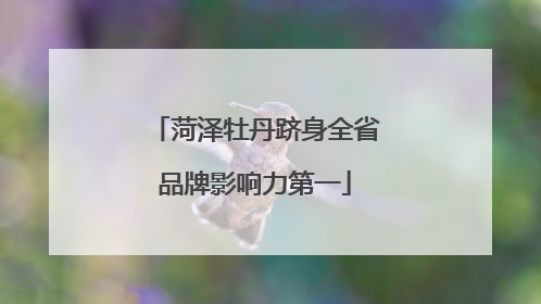 菏泽牡丹跻身全省品牌影响力第一