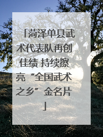 菏泽单县武术代表队再创佳绩 持续擦亮“全国武术之乡”金名片