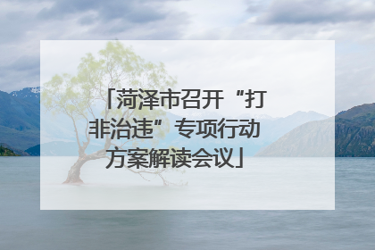菏泽市召开“打非治违”专项行动方案解读会议