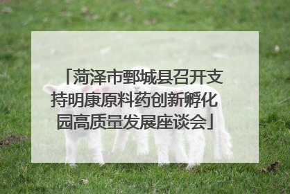 菏泽市鄄城县召开支持明康原料药创新孵化园高质量发展座谈会