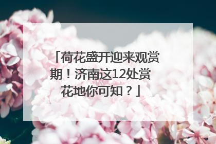 荷花盛开迎来观赏期！济南这12处赏花地你可知？