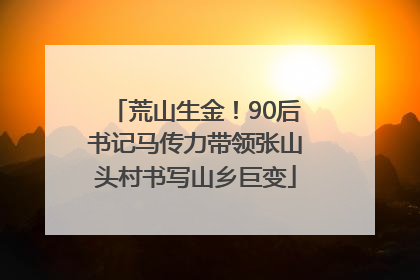荒山生金！90后书记马传力带领张山头村书写山乡巨变