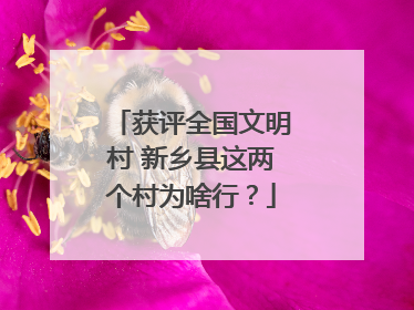 获评全国文明村 新乡县这两个村为啥行？