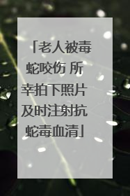 老人被毒蛇咬伤 所幸拍下照片及时注射抗蛇毒血清
