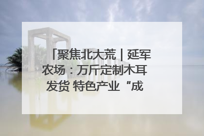 聚焦北大荒｜延军农场：万斤定制木耳发货 特色产业“成绩单”亮眼