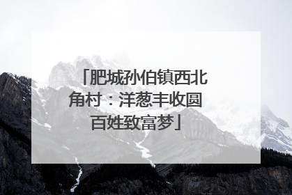 肥城孙伯镇西北角村：洋葱丰收圆百姓致富梦