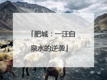 肥城：一汪自泉水的逆袭