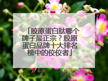 胶原蛋白肽哪个牌子最正宗？胶原蛋白品牌十大排名榜中的佼佼者