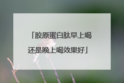 胶原蛋白肽早上喝还是晚上喝效果好