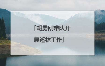 胡勇刚带队开展巡林工作