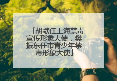 胡歌任上海禁毒宣传形象大使，樊振东任市青少年禁毒形象大使