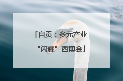 自贡：多元产业“闪耀”西博会