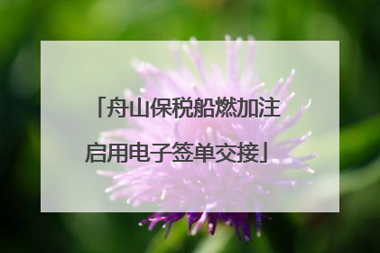 舟山保税船燃加注启用电子签单交接