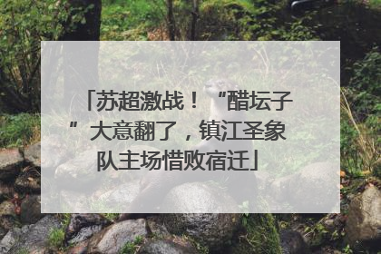 苏超激战！“醋坛子”大意翻了，镇江圣象队主场惜败宿迁