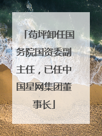 苟坪卸任国务院国资委副主任，已任中国星网集团董事长