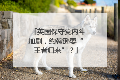英国保守党内斗加剧，约翰逊要“王者归来”？