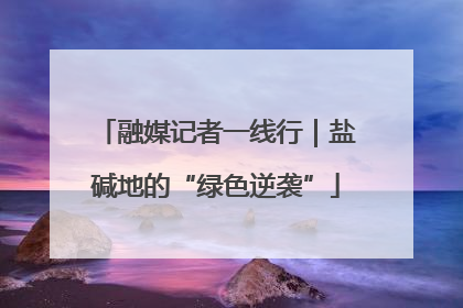 融媒记者一线行｜盐碱地的“绿色逆袭”