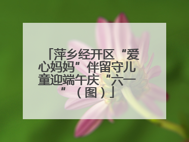 萍乡经开区“爱心妈妈”伴留守儿童迎端午庆“六一”（图）