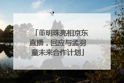 董明珠亮相京东直播，回应与孟羽童未来合作计划