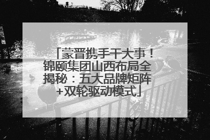 蒙晋携手干大事！锦颐集团山西布局全揭秘：五大品牌矩阵+双轮驱动模式