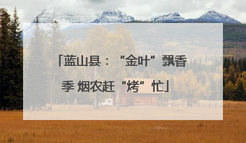 蓝山县：“金叶”飘香季 烟农赶“烤”忙