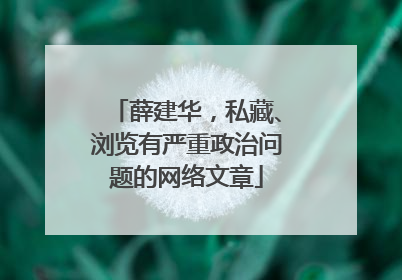 薛建华，私藏、浏览有严重政治问题的网络文章
