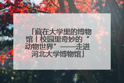 藏在大学里的博物馆丨校园里奇妙的“动物世界”——走进河北大学博物馆