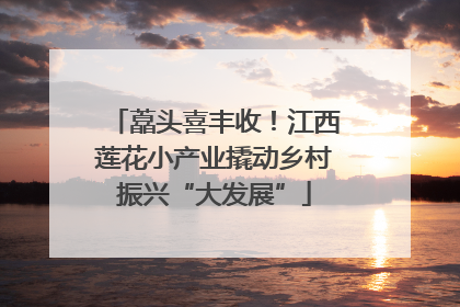 藠头喜丰收！江西莲花小产业撬动乡村振兴“大发展”