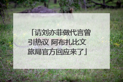 请刘亦菲做代言曾引热议 阿布扎比文旅局官方回应来了