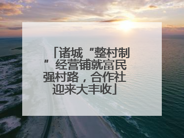 诸城“整村制”经营铺就富民强村路，合作社迎来大丰收