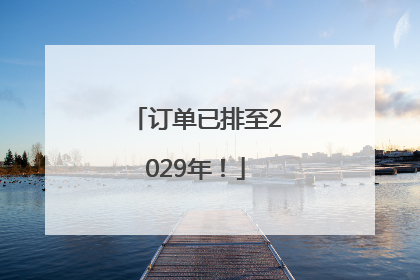 订单已排至2029年！