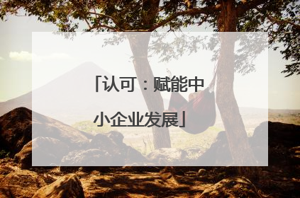 认可：赋能中小企业发展