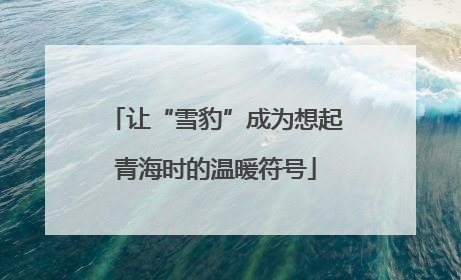 让“雪豹”成为想起青海时的温暖符号