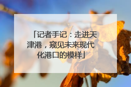 记者手记：走进天津港，窥见未来现代化港口的模样