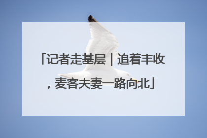 记者走基层｜追着丰收，麦客夫妻一路向北