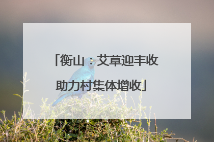 衡山：艾草迎丰收 助力村集体增收