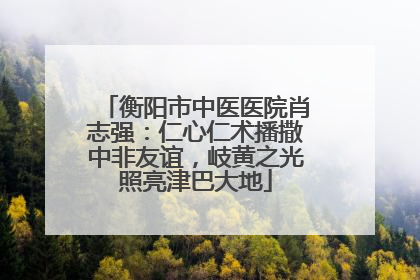 衡阳市中医医院肖志强：仁心仁术播撒中非友谊，岐黄之光照亮津巴大地