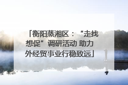衡阳蒸湘区：“走找想促”调研活动 助力外经贸事业行稳致远