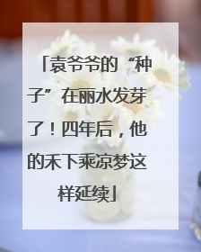 袁爷爷的“种子”在丽水发芽了！四年后，他的禾下乘凉梦这样延续