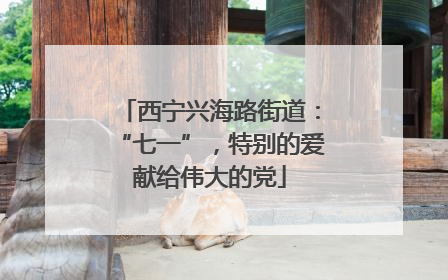 西宁兴海路街道：“七一”，特别的爱献给伟大的党