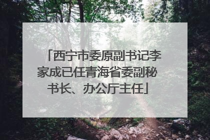 西宁市委原副书记李家成已任青海省委副秘书长、办公厅主任