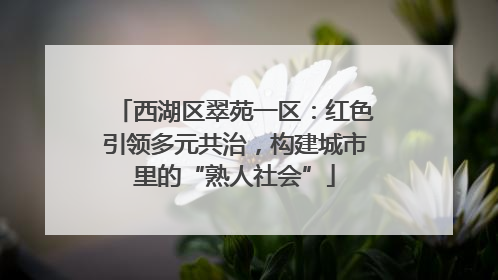 西湖区翠苑一区：红色引领多元共治，构建城市里的“熟人社会”